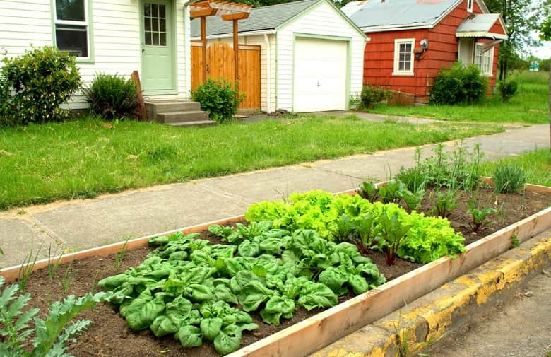 Understand the concept of garden spacing