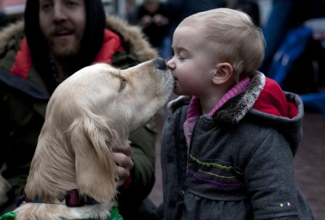 Therapy Dogs of Newtown