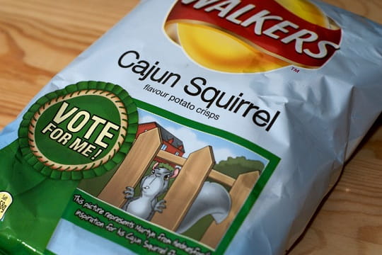 Walkers Cajun Squirrel