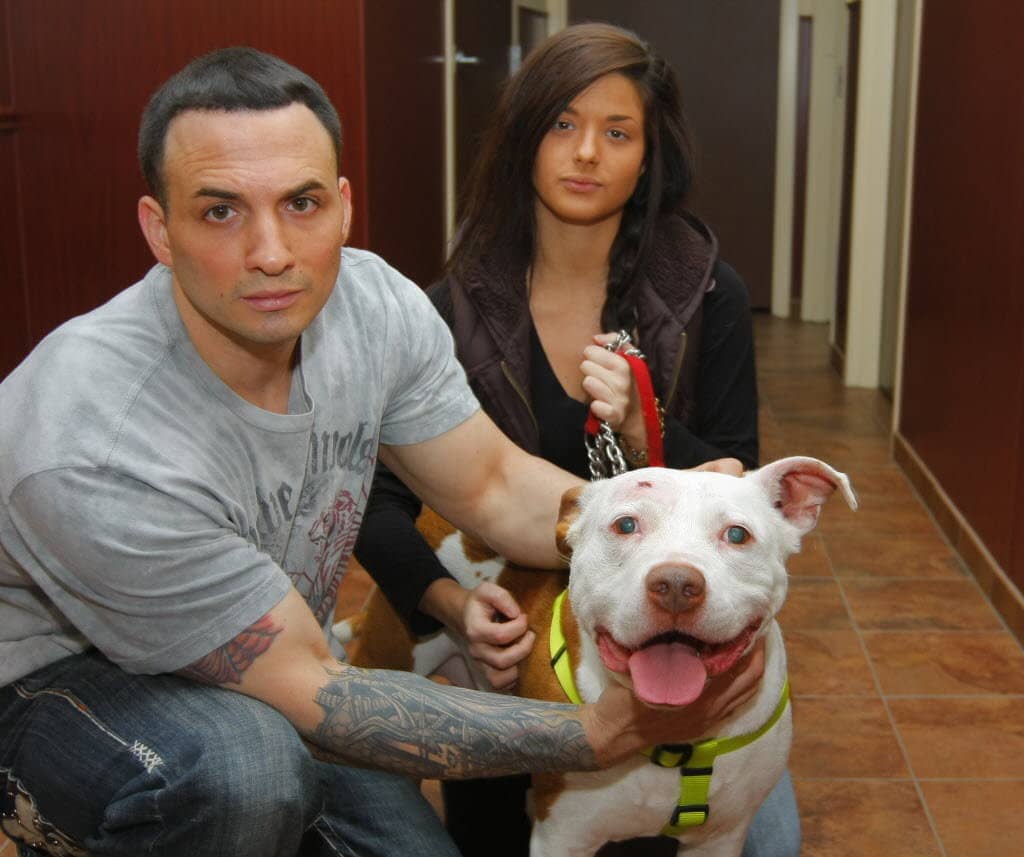 Kilo The Pit Bull