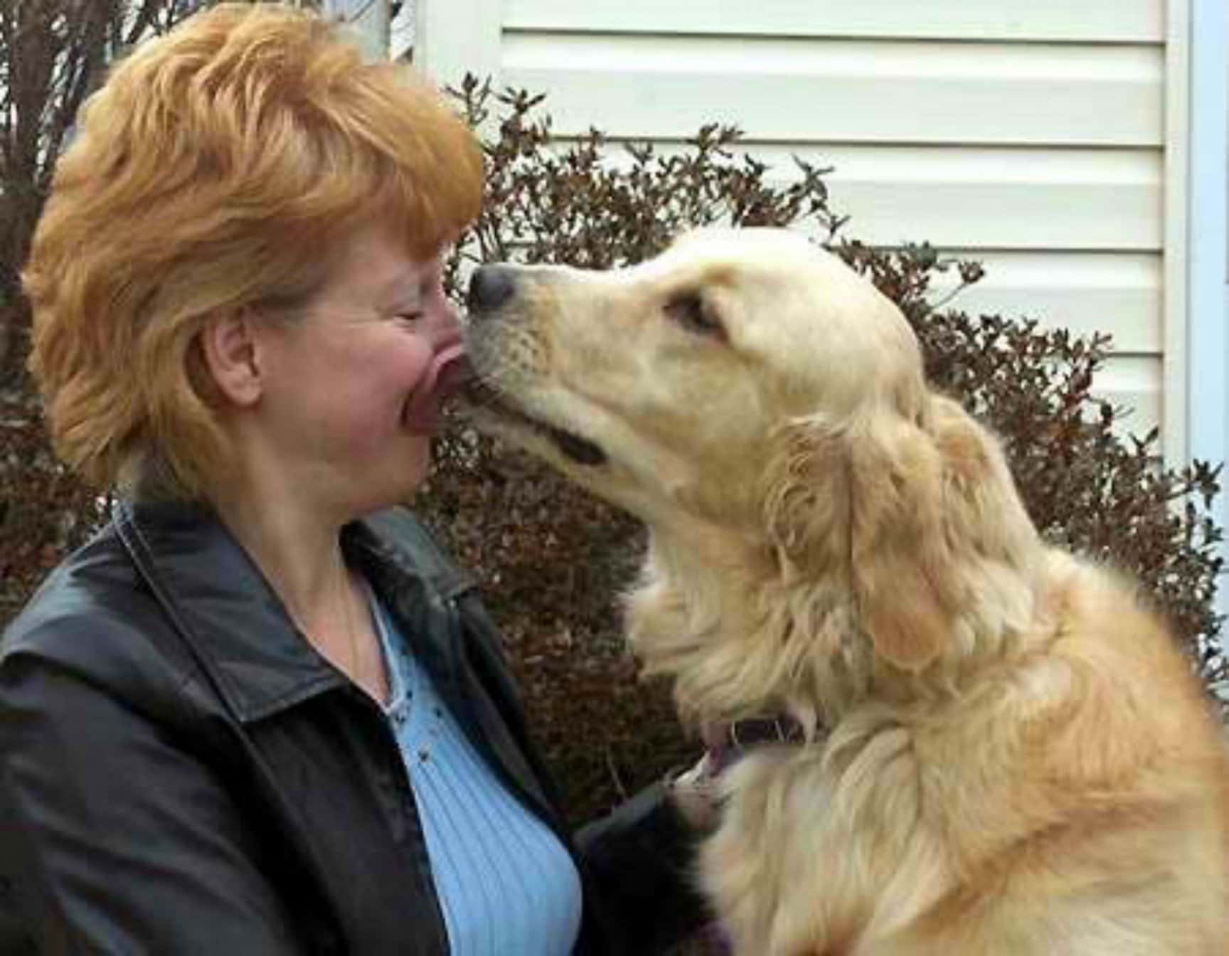 Golden Retriever Saves His Choking Owner