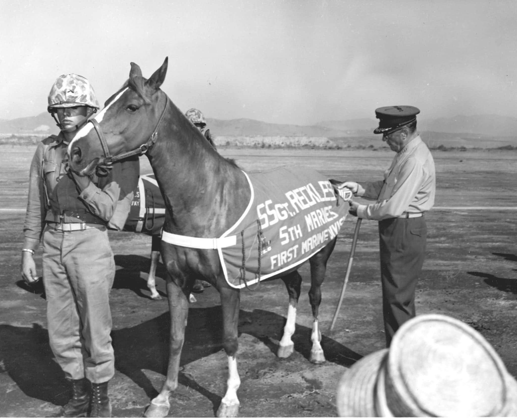 Sergeant Reckless
