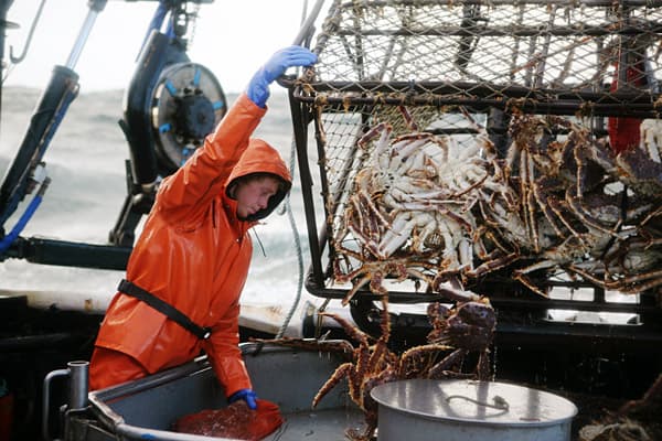 Crab Fisherman