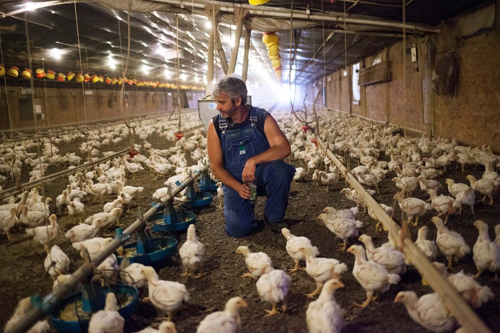 Farmers