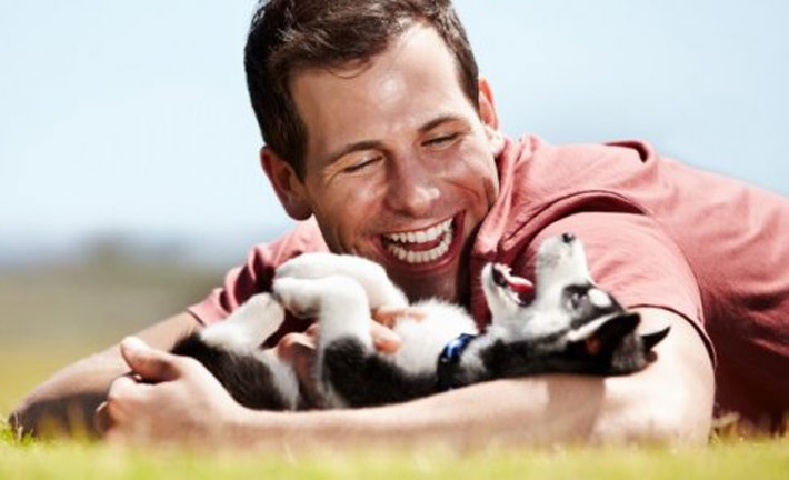 Spend Time With Pets