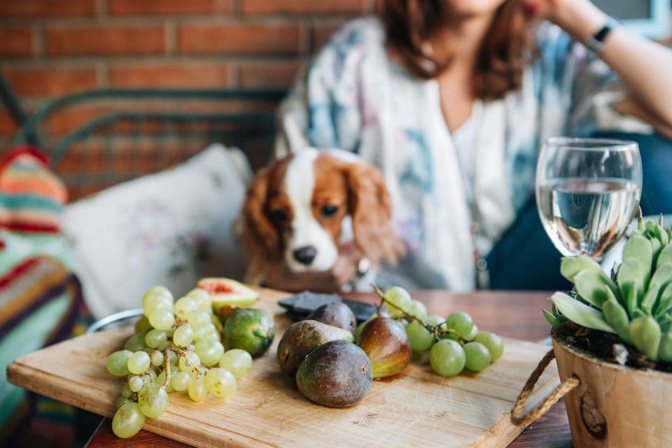 Grapes And Raisins