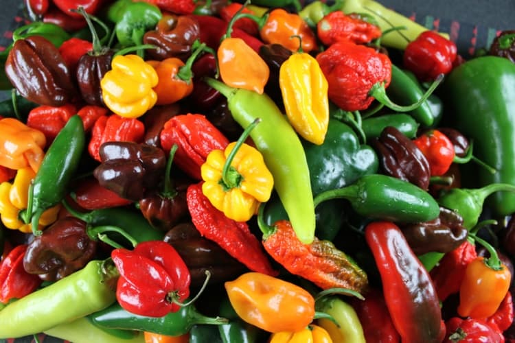 Chili Peppers